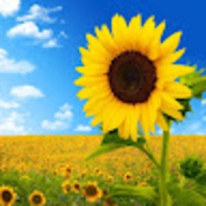 Meet your Posher, Tamara